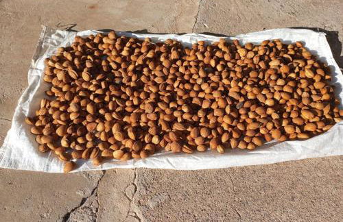 Casa Vacanza il Mandorlo - Foto 56