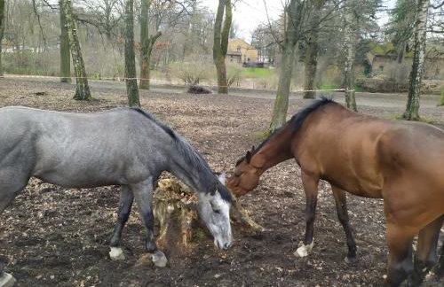 Apartament "Przy Jeziorku" - Foto 33