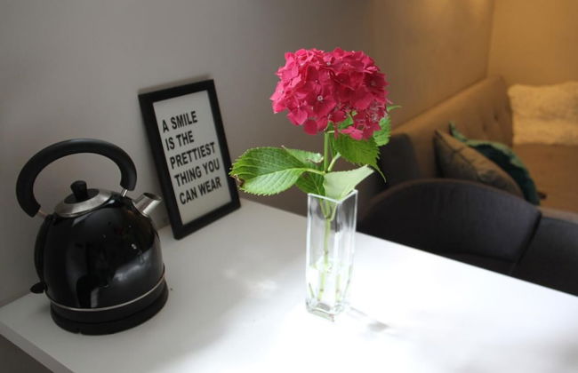 Nice n Nordic 1 - Foto 10