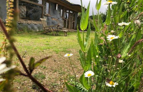 Rabbits ,1 bedroom, Dartmoor Hillside, Eco Hobbit style, Home - Foto 63