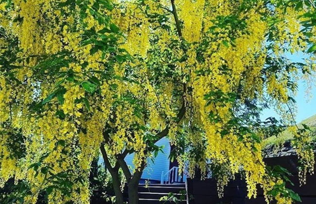 Akureyri Central Suite - Foto 18