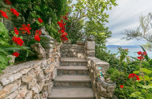 Apartments by the sea Cove Donja Kruscica - Donja Krusica, Solta - 11146 - Photo 15