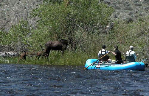 Fishing Getaway at a Riverside Resort near Beaverhead-Deerlodge National Forest, Montana - Foto 8