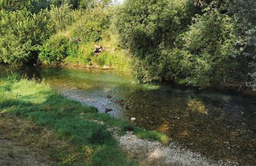 House Silva - Photo 40