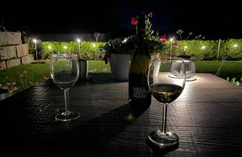 Panorama-Übernachtungen - 4 Sterne DTV - eigene Terrasse mit Garten - Infrarot-Sauna mit Dampfbad - Foto 29