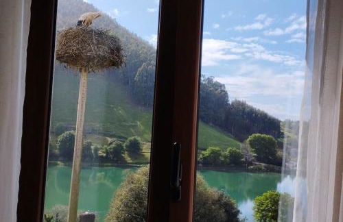 PequeñoCabárceno - Foto 71