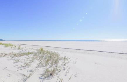 Escape to Raleigh Ave 3 Steps from the Beach - Foto 29