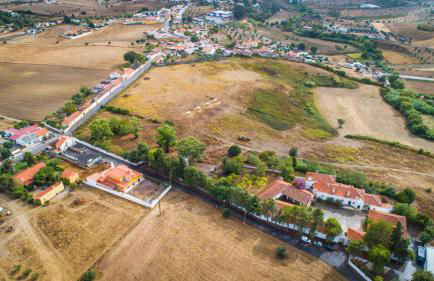 Santuário SOS Animal - Foto 21