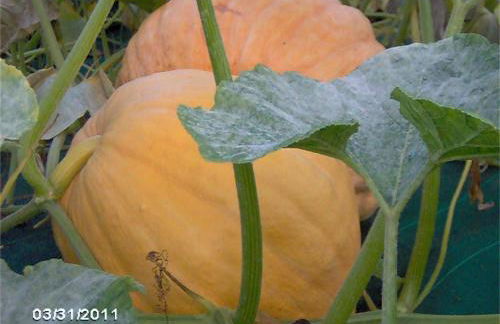 Agriturismo Il Magicorto - Photo 38