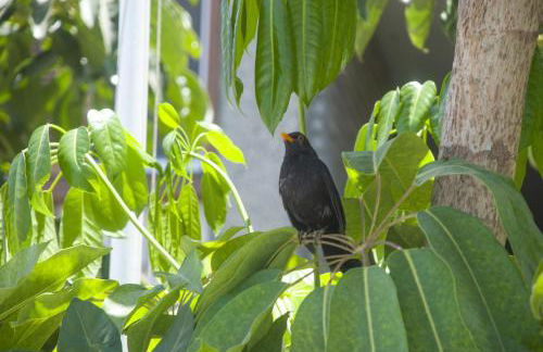 Apartamentos El Paseo - Foto 112