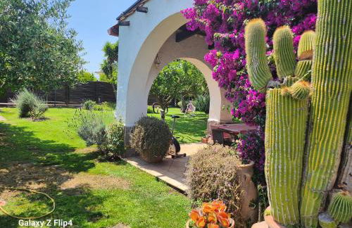 La Limonaia - Foto 1