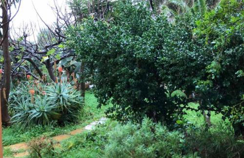 glarosmaisonette - Foto 34