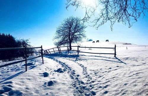 Ferienwohnung Balkonien - Foto 78