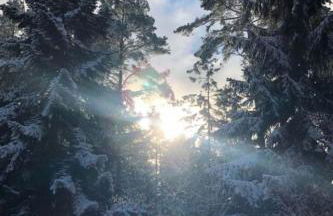 Holiday Home Reetdach Ferienhaus am Lübbesee Sauna Bootsteg neu by Interhome - Photo 27