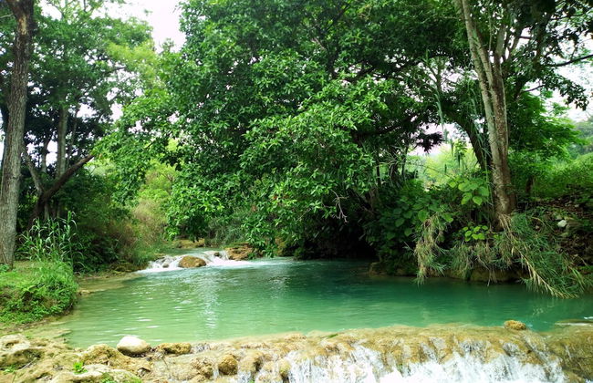 Room in Cabin - Cozy Sierraverde Cabins Cabana la Ceiba - Foto 16