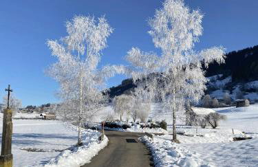 Alpen Ferienhaus mit Garten, Kamin, Spielzimmer und Bergblick - Photo 39