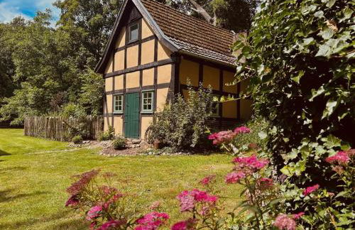 Auszeit vom Alltag in urigem Ferienhaus in idyllischer Natur im Dümmer-Weserland, Sauna & Kraniche - Foto 1