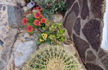 Villa Quattro Archi - Foto 68