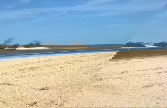 Les Calicots Sanguinet - Photo 13