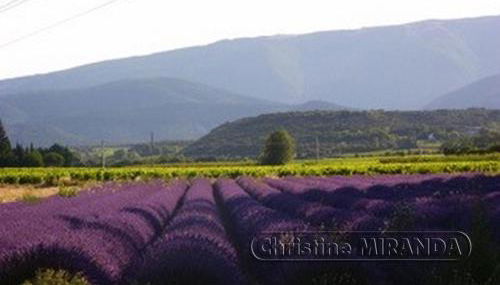 La Chapelle Gite avec piscine chauffee - Foto 5