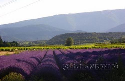 La Chapelle Gite avec piscine chauffee - Foto 5
