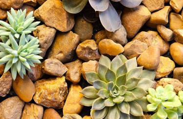 Encantadora casa com piscina perto da praia - Foto 20