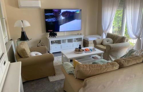 Villa des palmiers - Foto 1