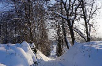 Uroczy Domek z Kominkiem - Foto 42