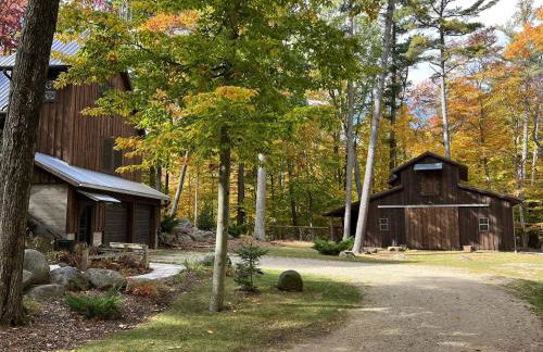 Forest cabin near Kohler Andrae with hot tub - Foto 53