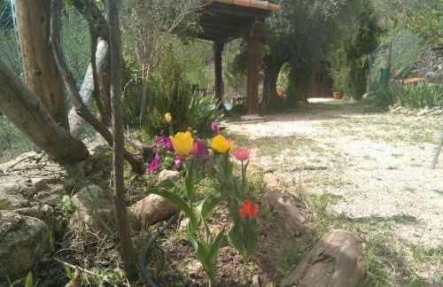 A 11 km de Riopar Casa Acogedora con sabor antaño - Foto 18