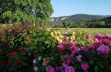 Luberon - Mas du Grand Saint Julien - Foto 5