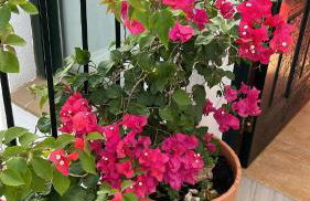 Beautiful Duplex with a Patio - Photo 7