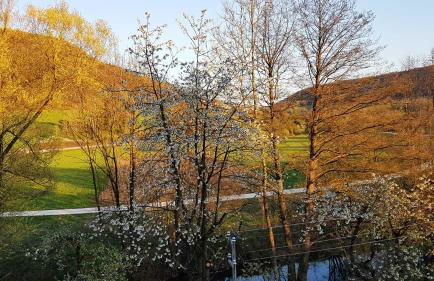 Apartment Pegnitzmühle mit Pegnitzinsel - Foto 13