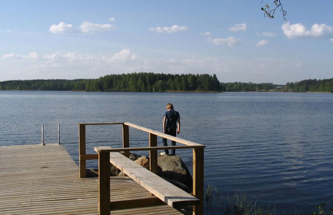 Tervaleppä - Foto 3