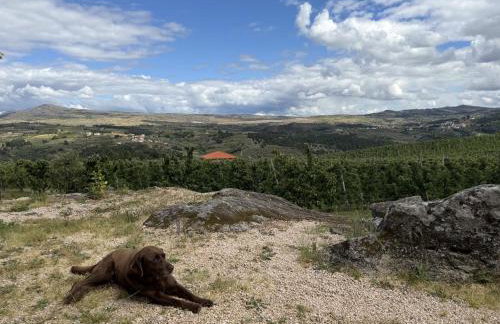 Quinta da Cabrida - Casa do Feitor - Douro - Foto 43