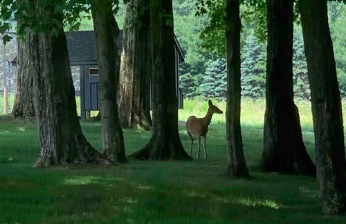 Longpond Cellars and Farms 40Acre Estate - Foto 40