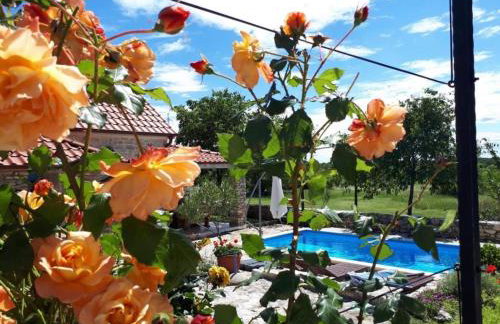 Holiday Home Toma - Foto 24