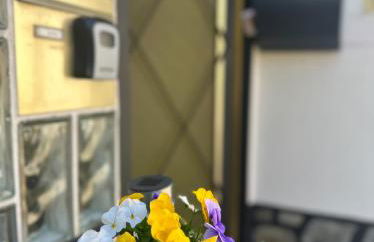 Blick auf den Rhein - Foto 48