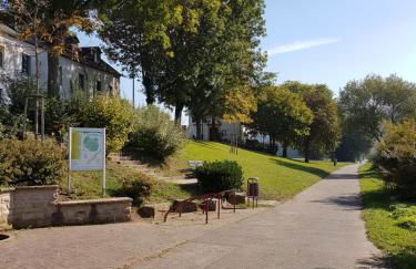 Familie Jonas - Foto 27