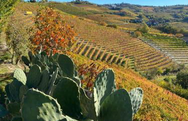 Agriturismo La Ruota - Foto 1