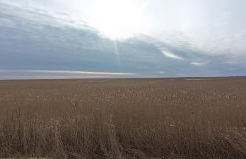 Wierzbowa Ostoja - Domek letniskowy BOSMAN - Photo 49