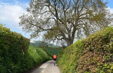 The Workshop - Foto 28