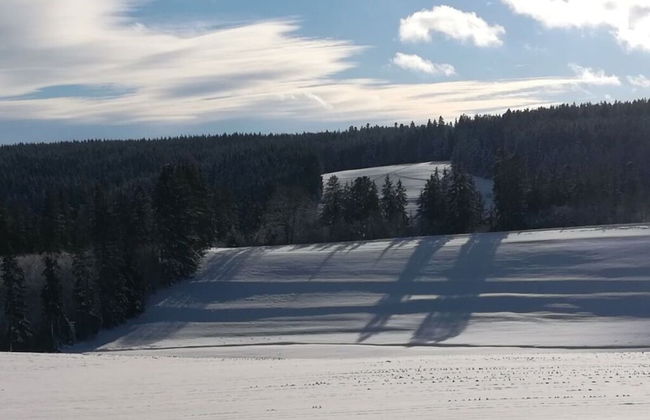 Holiday Apartment Abendgrund - Photo 15