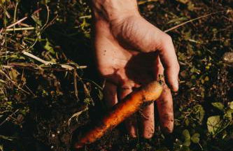 Agriturismo Giacomino - Foto 15