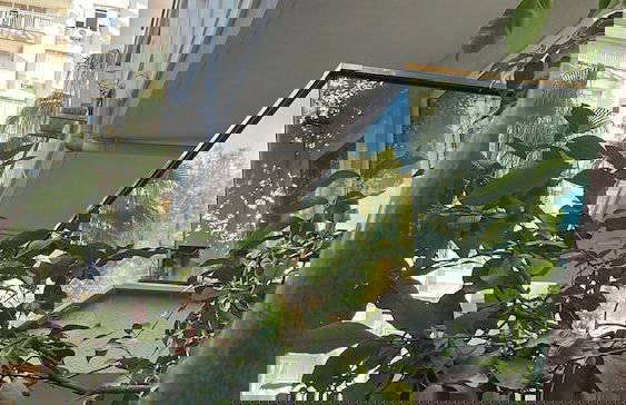 ABC APART HOTEL - Photo 48