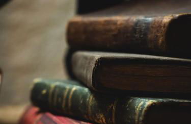 L'Insolite, expérience safari chic à Saumur - Foto 22