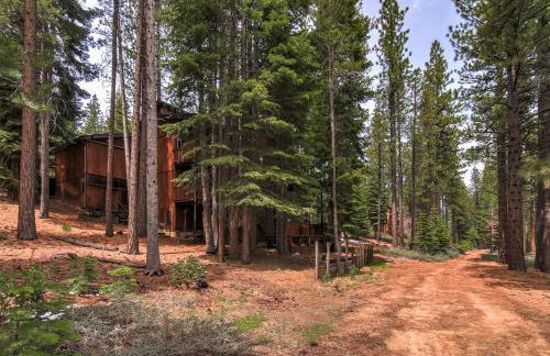 Bear Haus - Fur Babies Welcome! - Foto 53