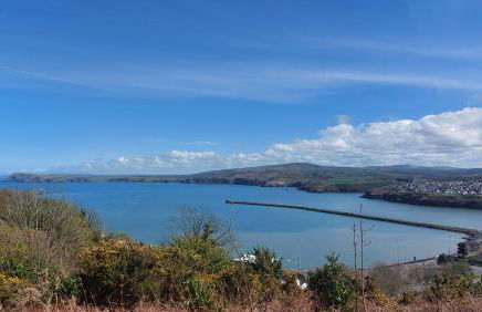 Cherry Cottage - Photo 18