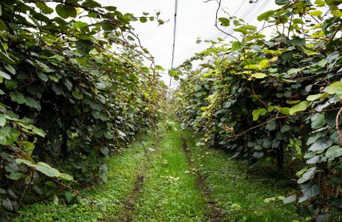 Hotel Agriturismo Al Luogo Del Giulio - Foto 93