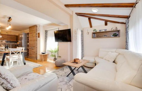 Gorgeous Home In Plesivica With Sauna - Foto 1